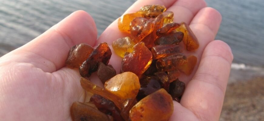 Цікаві факти про бурштин: походження