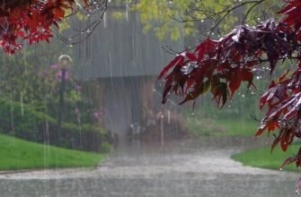 До чого сниться дощ: тлумачення сновидінь для вашого спокою