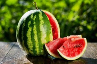 Арбуз у снах: символіка та значення - що підказує підсвідомість?
