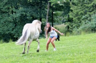 Напад кінь уві сні: тлумачення сновидіння та його значення для вас