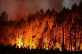 До чого сниться пожежа: тлумачення сновидінь та можливі значення