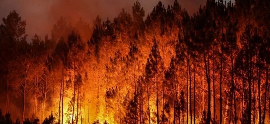 До чого сниться пожежа: тлумачення сновидінь та можливі значення