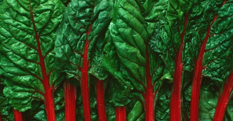 Що таке мангольд та як він може доповнити ваш раціон: користь і вживання