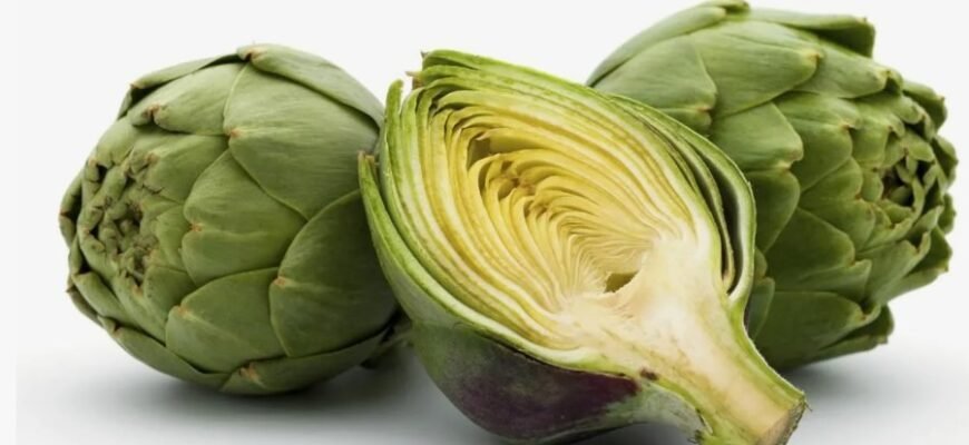 Артишок: користь