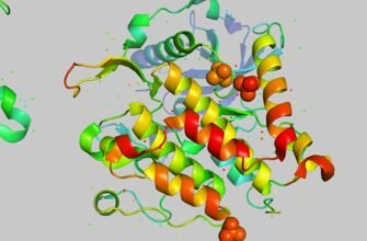 Що таке білки: важливість