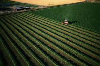 Емфітевзис: Що це таке та як він впливає на ваше право користування землею