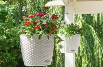 Кашпо: визначення