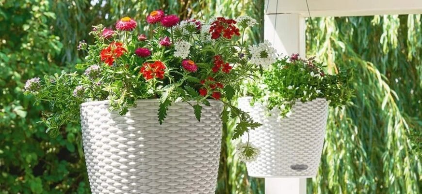 Кашпо: визначення