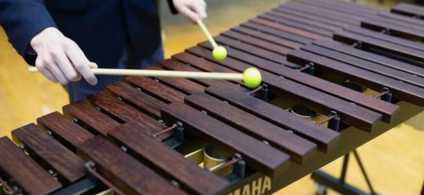 Що таке ксилофон: особливості