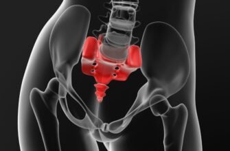 Що таке куприк: будова