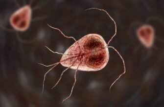 Що таке лямблії: симптоми