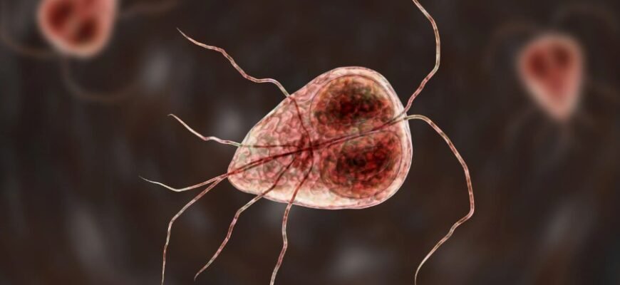 Що таке лямблії: симптоми