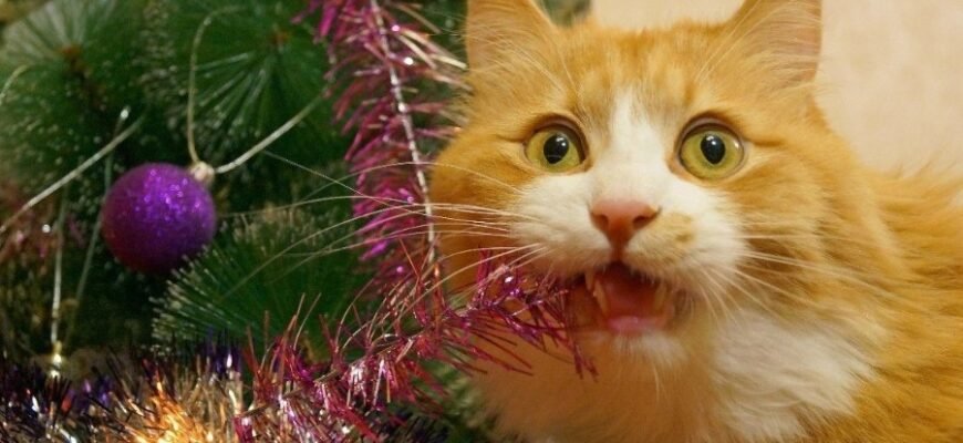 Розкриття поняття мішури: визначення