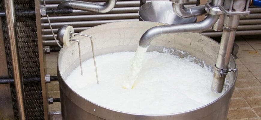 Що таке пастеризоване молоко та як його користь для здоров'я?