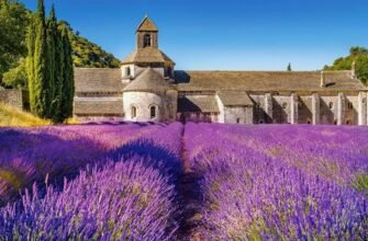 Романтика Провансу: Всі Секрети Стилю у Вашому Домашньому Інтер'єрі