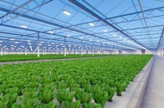 Що таке рослинництво: основи