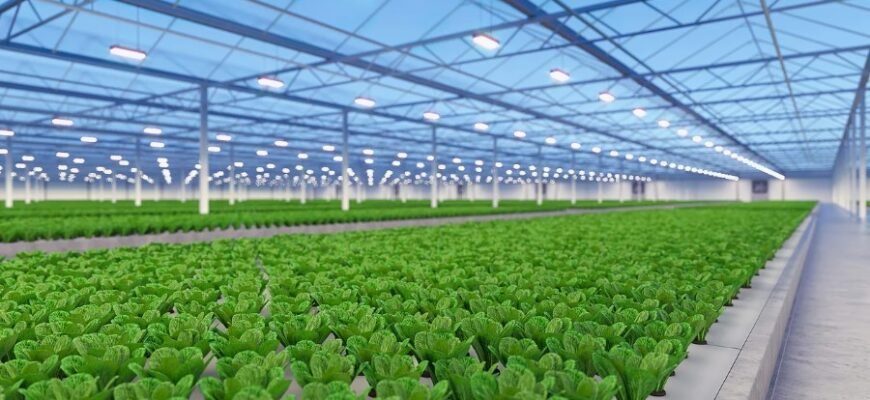 Що таке рослинництво: основи