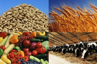 Що таке сільське господарство: основи