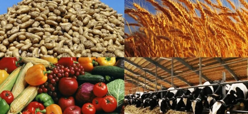 Що таке сільське господарство: основи