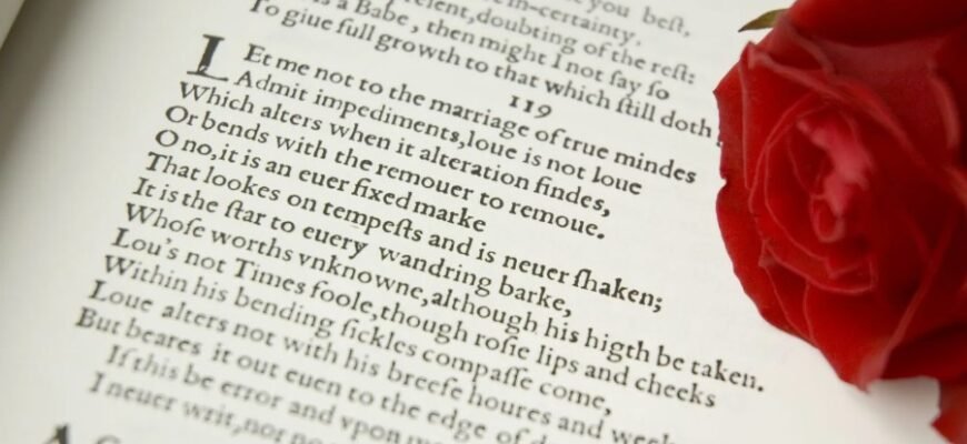 Розкриття сутності сонету: історія