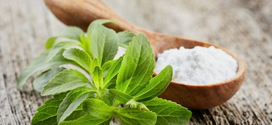 Стевія: природний підсолоджувач без зайвих калорій та цукру