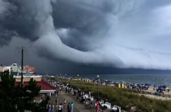 Тайфун: Причини виникнення та вплив на навколишнє середовище