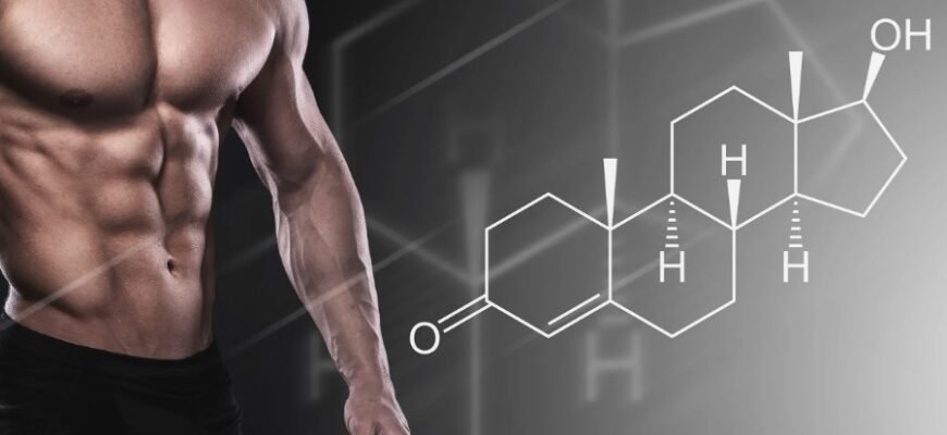 Тестостерон: Вплив на організм і значення для здоров'я чоловіків