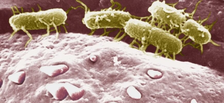 Розуміємо тиф: симптоми