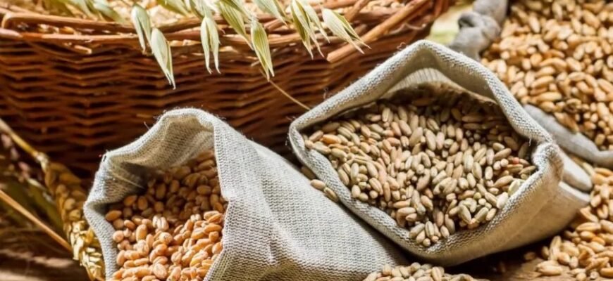 Що таке злакові продукти: користь та різновиди для вашого здоров'я