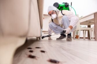 Дезінсекція: Важливість та Переваги Процесу для Вашого Дому