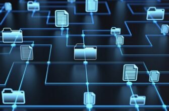 Поля і записи в базах даних: основні поняття для новачків SEO