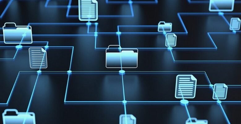 Поля і записи в базах даних: основні поняття для новачків SEO