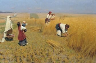 Що таке Нива: ключовий символ українського сільського господарства та природи