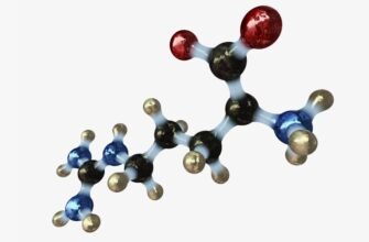 Що таке амінокислоти: визначення