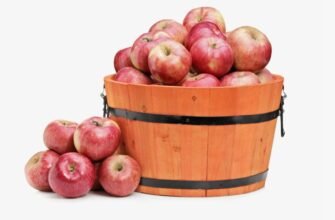 Що таке брутто та нетто: Розбираємося у вагових поняттях економіки