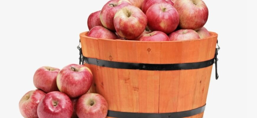 Що таке брутто та нетто: Розбираємося у вагових поняттях економіки