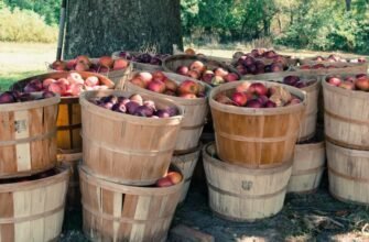 Що таке бушель: визначення