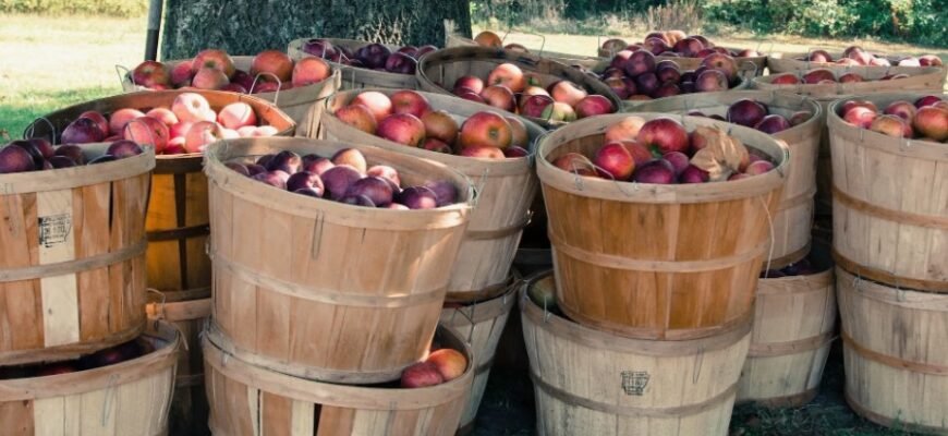 Що таке бушель: визначення