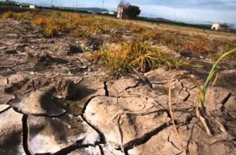 Що таке деградація: причини