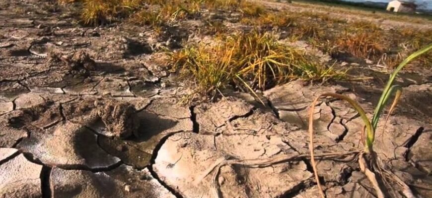Що таке деградація: причини