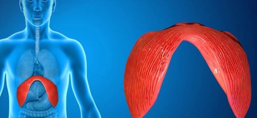 Діафрагма: ключ до поліпшення якості фотографій та відео