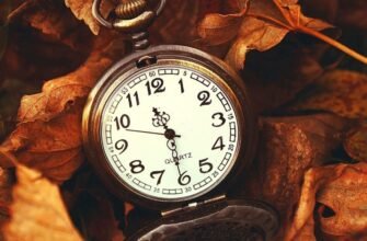 Дзигарі: історія