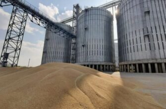 Елеватор: Основні функції