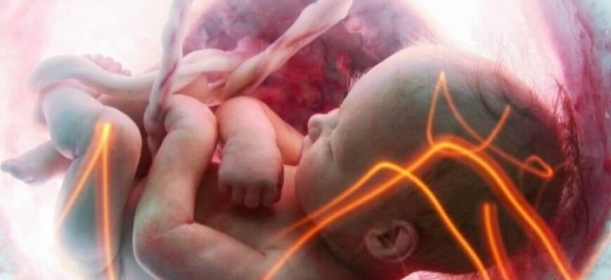 Гіпоксія плоду: Причини