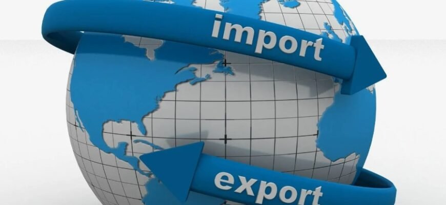Значення та переваги імпорту: як це впливає на економіку України