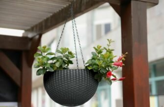 Що таке кашпо: Вибір декоративних горщиків для домашніх рослин