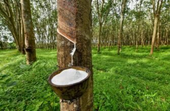 Зрозумійте