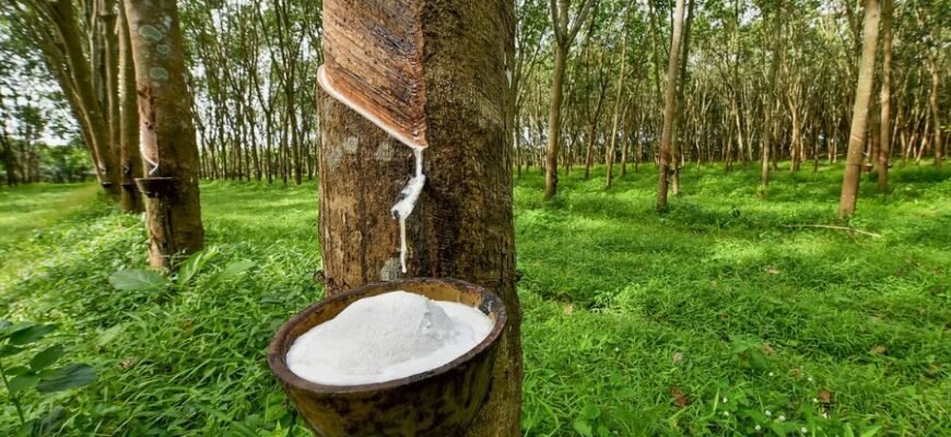 Зрозумійте