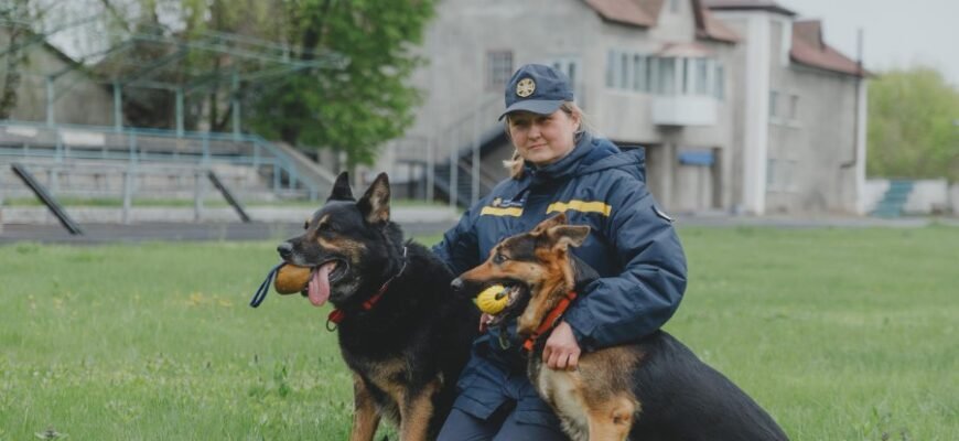 Знайомство з професією кінолога: хто це та які його обов'язки?