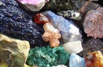 Що таке копалини: визначення